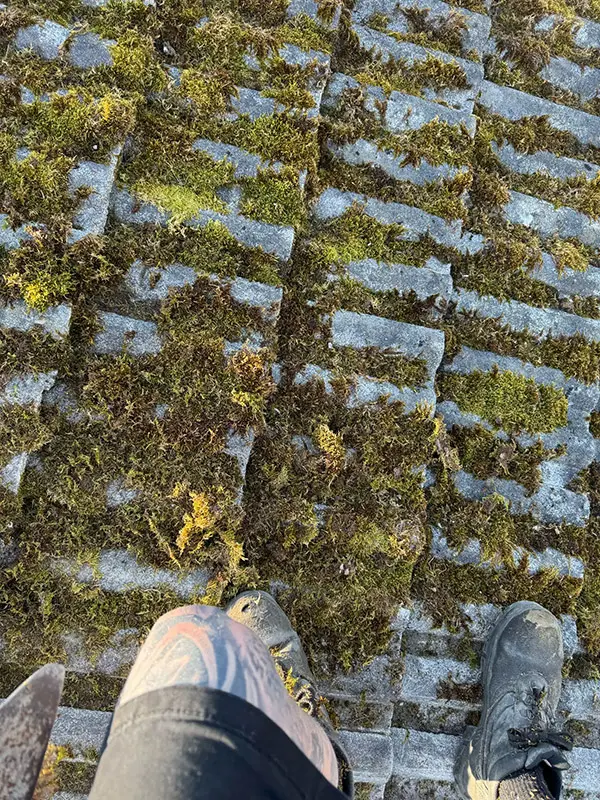 Photograph of a roof being pressure washed clean by Rickard Cleaning Services, Tywyn