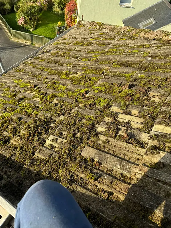 Photograph of a roof being pressure washed clean by Rickard Cleaning Services, Tywyn