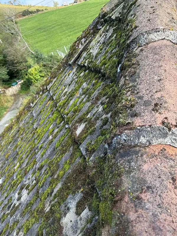 Photograph of a roof being pressure washed clean by Rickard Cleaning Services, Tywyn