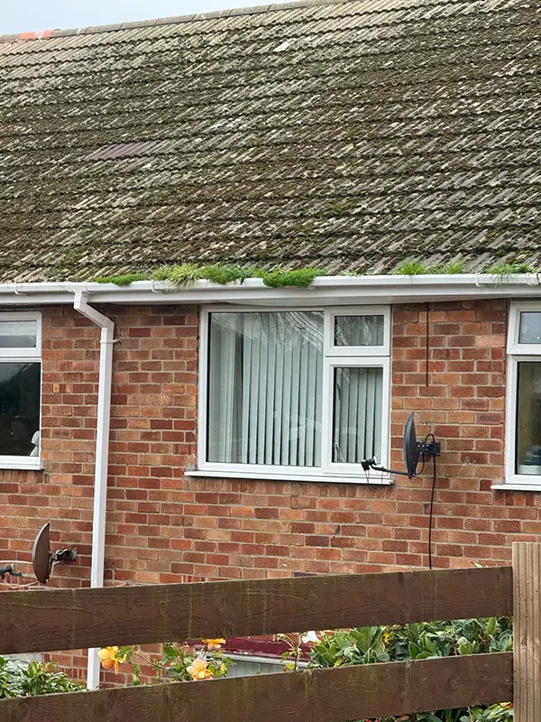 Rickard Cleaning Services pressure washing a Gutter or fascia