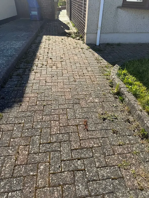 Shows driveway or patio prior to being cleaned by Riackrd Cleaning Services