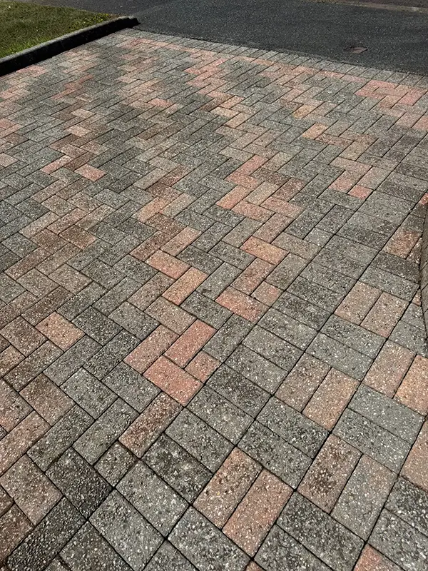 Shows driveway or patio prior to being cleaned by Riackrd Cleaning Services