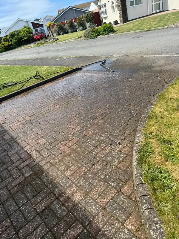Shows driveway or patio prior to being cleaned by Riackrd Cleaning Services